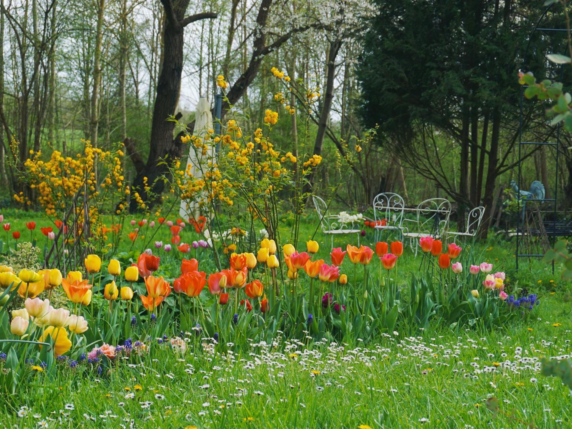 Accommodatie bij particulieren Green Home *